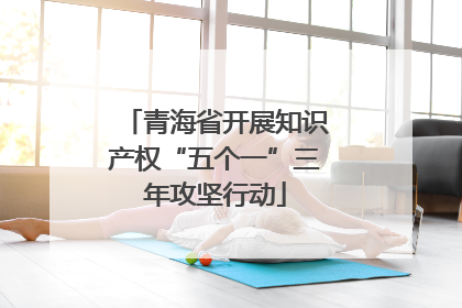 青海省开展知识产权“五个一”三年攻坚行动