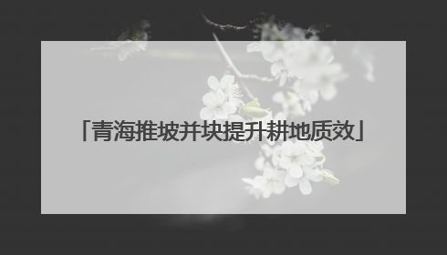 青海推坡并块提升耕地质效