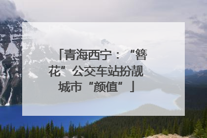 青海西宁：“簪花”公交车站扮靓城市“颜值”