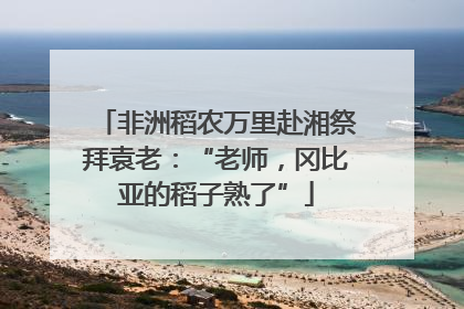 非洲稻农万里赴湘祭拜袁老：“老师，冈比亚的稻子熟了”