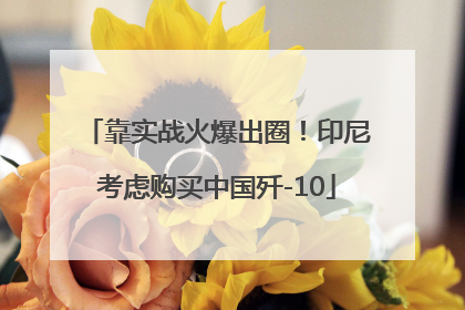 靠实战火爆出圈！印尼考虑购买中国歼-10