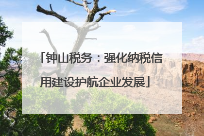钟山税务：强化纳税信用建设护航企业发展