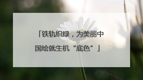 铁轨织绿，为美丽中国绘就生机“底色”