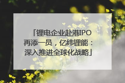锂电企业赴港IPO再添一员，亿纬锂能：深入推进全球化战略