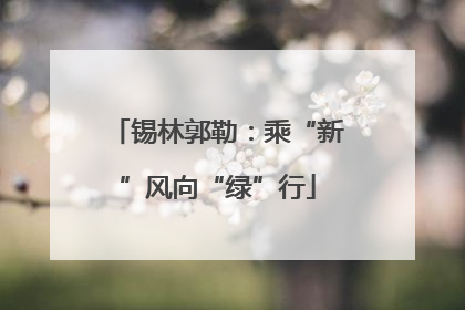 锡林郭勒：乘“新”风向“绿”行