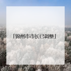 锦州市市长已调整