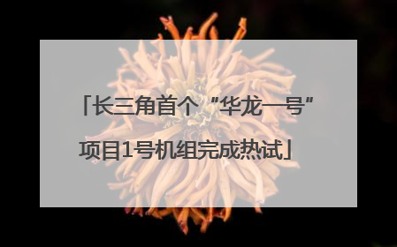 长三角首个“华龙一号”项目1号机组完成热试