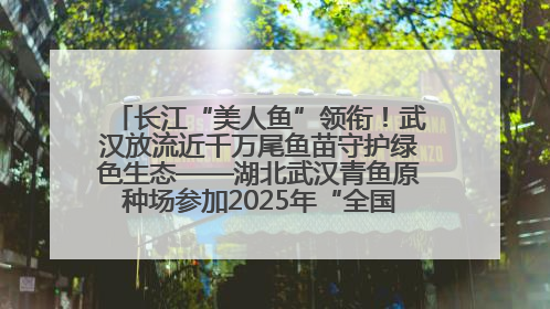 长江“美人鱼”领衔！武汉放流近千万尾鱼苗守护绿色生态——湖北武汉青鱼原种场参加2025年“全国放鱼日”增殖放流活动