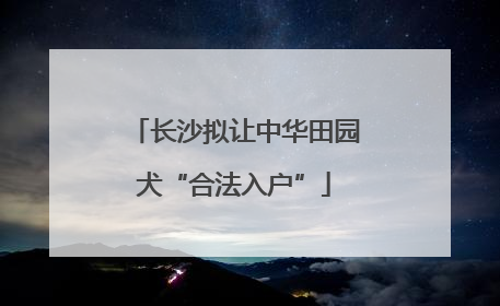 长沙拟让中华田园犬“合法入户”