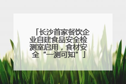 长沙首家餐饮企业自建食品安全检测室启用，食材安全“一测可知”
