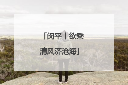 闵平丨欲乘清风济沧海