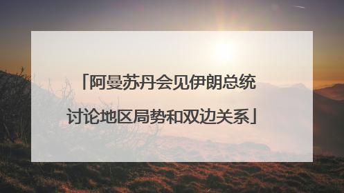 阿曼苏丹会见伊朗总统 讨论地区局势和双边关系