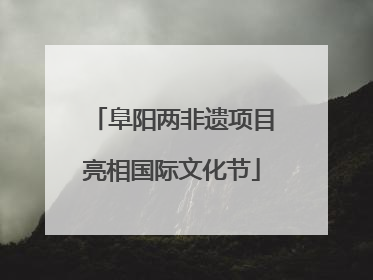阜阳两非遗项目亮相国际文化节