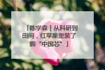 陈学森｜从科研到田间，红苹果里装了颗“中国芯”