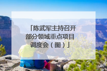 陈武军主持召开部分领域重点项目调度会（图）