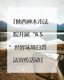 陕西神木市法院开展“6.5”世界环境日普法宣传活动