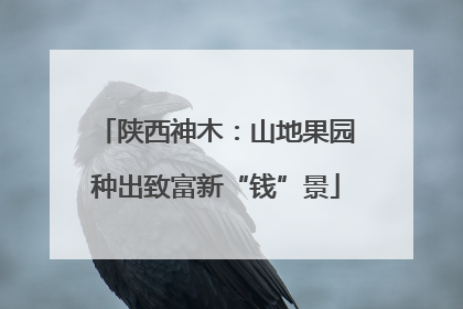 陕西神木：山地果园种出致富新“钱”景