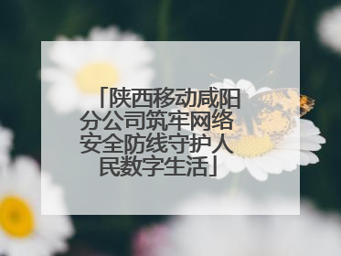 陕西移动咸阳分公司筑牢网络安全防线守护人民数字生活