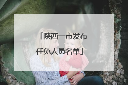 陕西一市发布任免人员名单