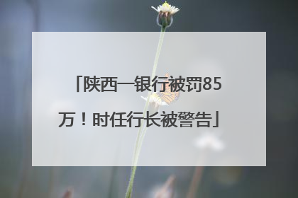 陕西一银行被罚85万！时任行长被警告