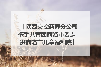 陕西交控商界分公司携手共青团商洛市委走进商洛市儿童福利院