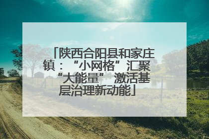 陕西合阳县和家庄镇：“小网格”汇聚“大能量” 激活基层治理新动能