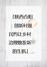 陕西合阳：创新村规民约让乡村治理焕发新的生机