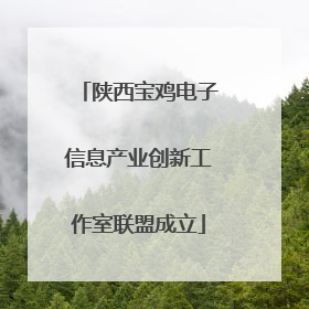 陕西宝鸡电子信息产业创新工作室联盟成立