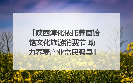 陕西淳化依托荞面饸饹文化旅游消费节 助力荞麦产业富民强县