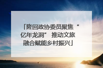 隆回政协委员聚焦“亿年龙洞” 推动文旅融合赋能乡村振兴