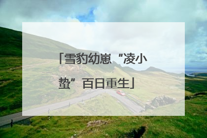 雪豹幼崽“凌小蛰”百日重生