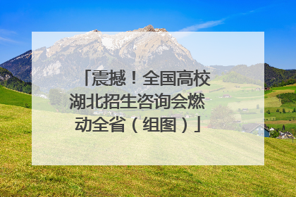 震撼！全国高校湖北招生咨询会燃动全省（组图）