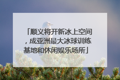 顺义将开新冰上空间，成亚洲最大冰球训练基地和休闲娱乐场所