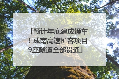 预计年底建成通车！成南高速扩容项目9座隧道全部贯通