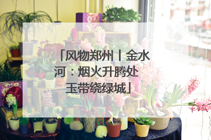 风物郑州丨金水河：烟火升腾处 玉带绕绿城