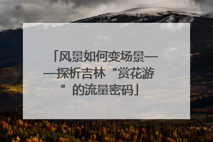 风景如何变场景——探析吉林“赏花游”的流量密码