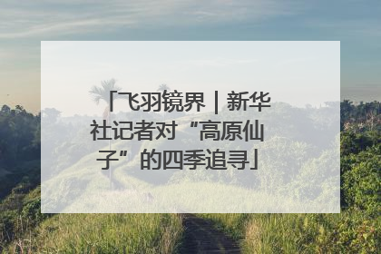 飞羽镜界｜新华社记者对“高原仙子”的四季追寻