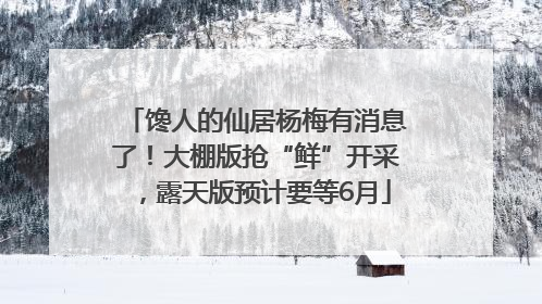 馋人的仙居杨梅有消息了！大棚版抢“鲜”开采，露天版预计要等6月