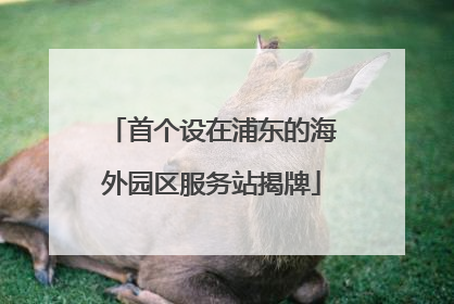 首个设在浦东的海外园区服务站揭牌