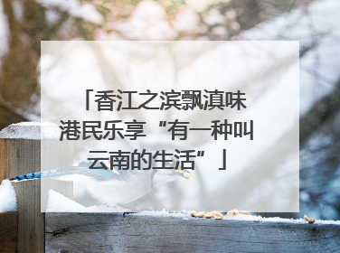 香江之滨飘滇味 港民乐享“有一种叫云南的生活”