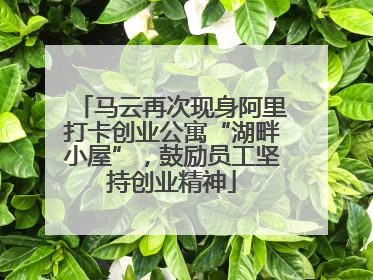 马云再次现身阿里打卡创业公寓“湖畔小屋”，鼓励员工坚持创业精神