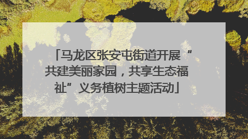 马龙区张安屯街道开展“共建美丽家园，共享生态福祉”义务植树主题活动