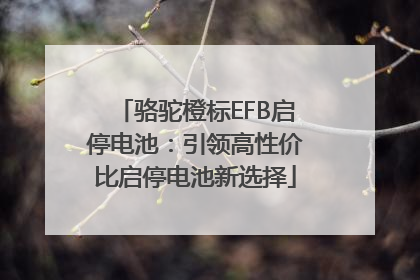 骆驼橙标EFB启停电池：引领高性价比启停电池新选择
