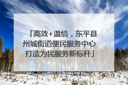 高效+温情，东平县州城街道便民服务中心打造为民服务新标杆