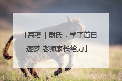 高考｜尉氏：学子首日逐梦 老师家长给力