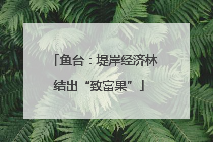 鱼台：堤岸经济林结出“致富果”