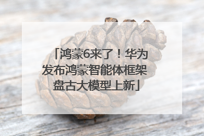 鸿蒙6来了！华为发布鸿蒙智能体框架 盘古大模型上新