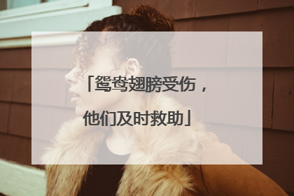 鸳鸯翅膀受伤，他们及时救助