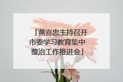 黄喜忠主持召开市委学习教育集中整治工作推进会
