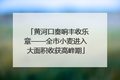 黄河口奏响丰收乐章——全市小麦进入大面积收获高峰期